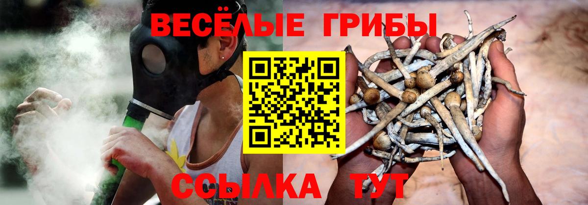 Галлюциногенные грибы Magic Shrooms  Вход с VPN  Гуково 